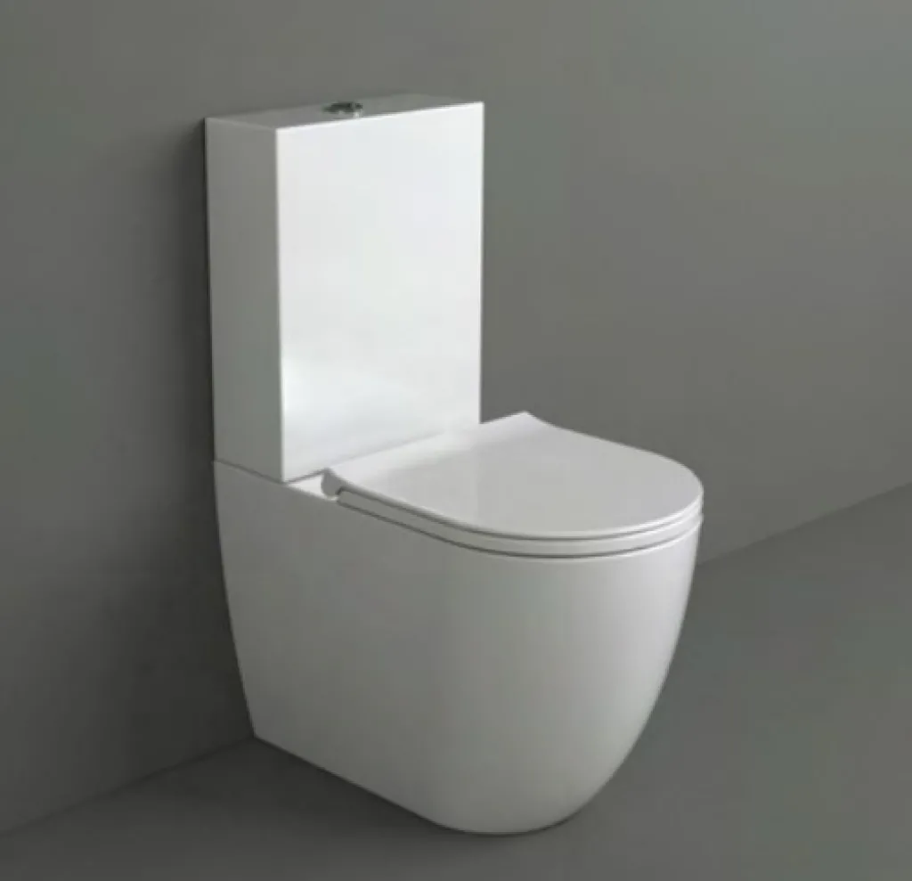 Vignoni VI09 universal toilet - Matte white porcelain