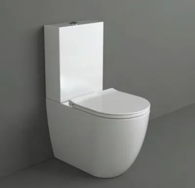 Vignoni VI09 universal toilet - Matte white porcelain