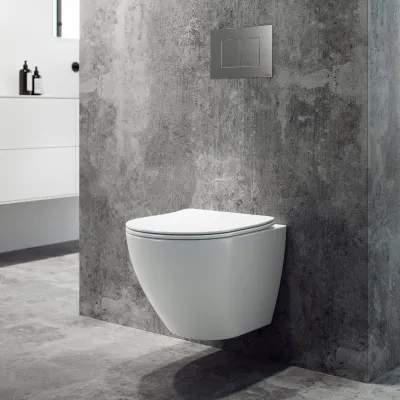 Dodo PD18 - Toilet in Matte White Porcelain w/Vortex flush + EasyClean Coat